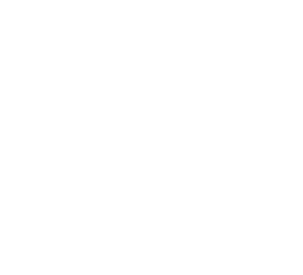 CHẤT LƯƠNG DỰ ÁN